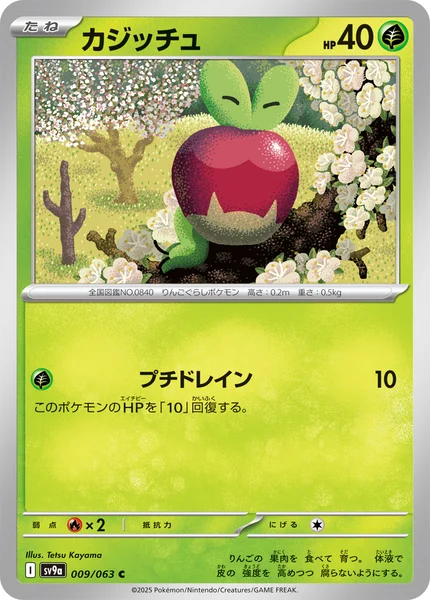 カジッチュ C 009/063