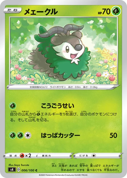メェークル C 006/100