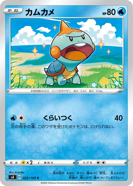 カムカメ C 025/100