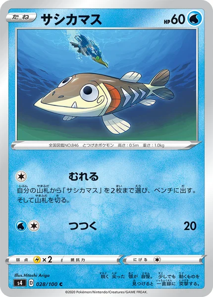 サシカマス C 028/100