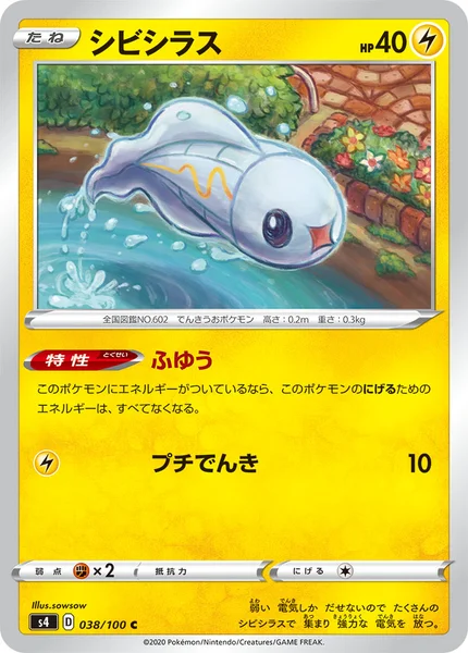 シビシラス C 038/100