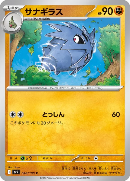 サナギラス C 048/100