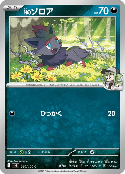 Nのゾロア C 060/100