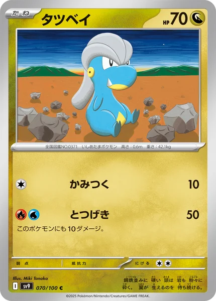 タツベイ C 070/100