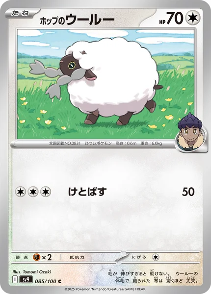 ホップのウールー C 085/100