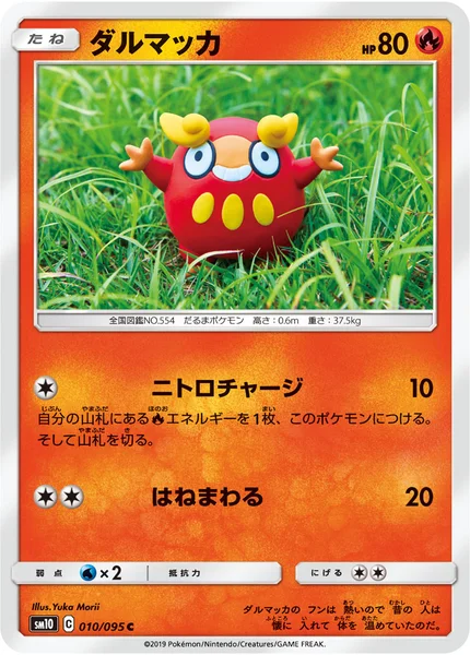 ダルマッカ C 010/095