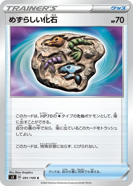 めずらしい化石 C 091/100