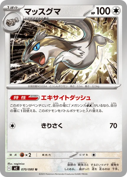 マッスグマ 070/080