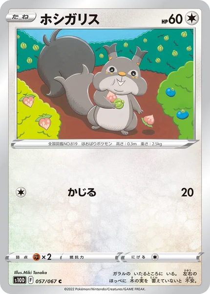 ホシガリス C 057/067