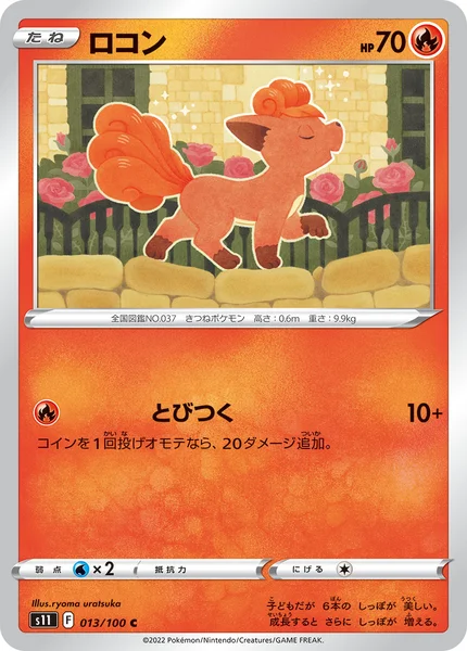 ロコン C 013/100