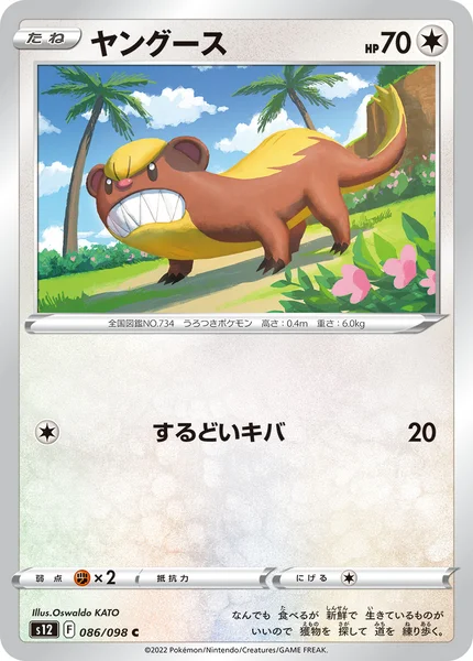 ヤングース C 086/098