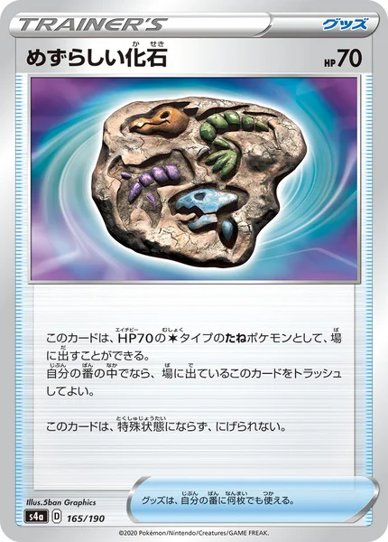 めずらしい化石 通常 165/190