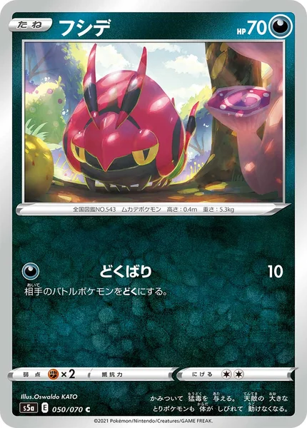 フシデ C 050/070