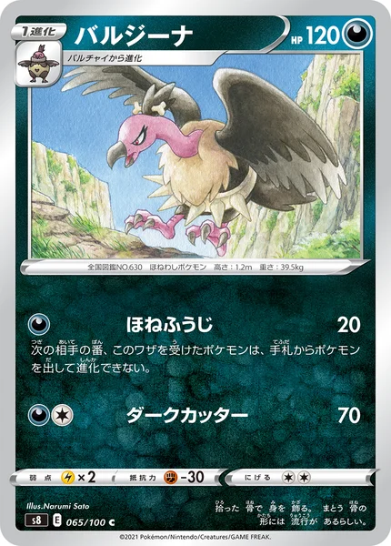 バルジーナ C 065/100