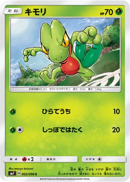 キモリ C 002/096