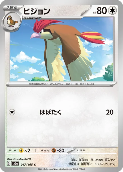 ピジョン C 017/165
