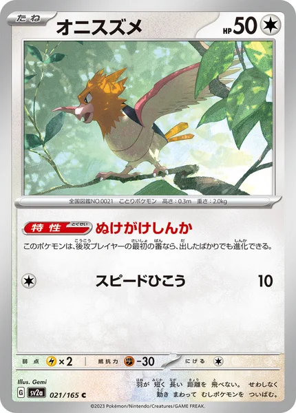 オニスズメ C 021/165