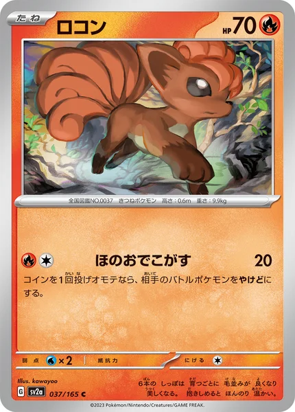 ロコン C 037/165