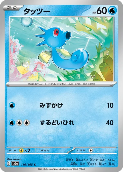 タッツー C 116/165