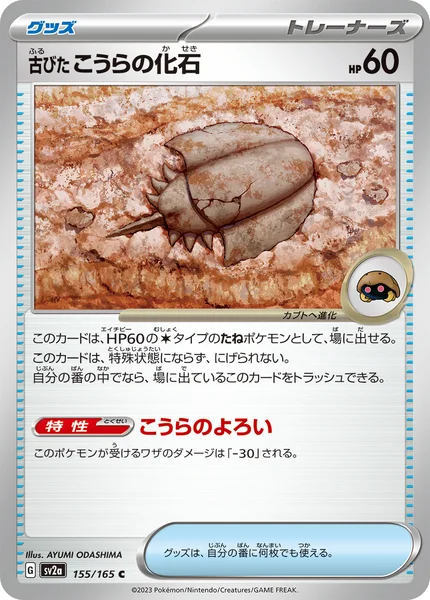 古びたこうらの化石 C 155/165