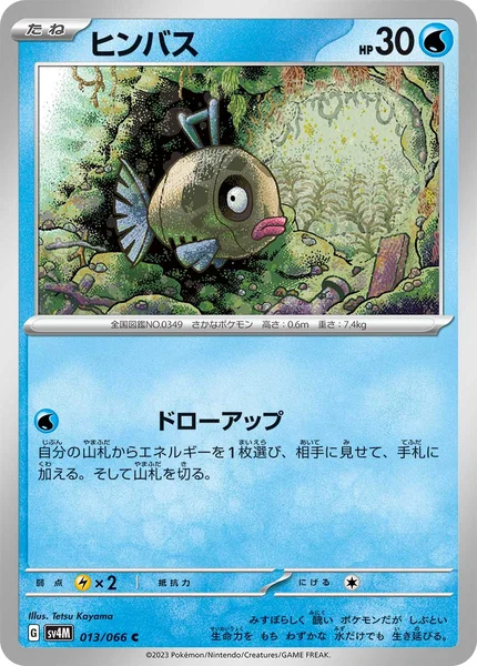 ヒンバス C 013/066