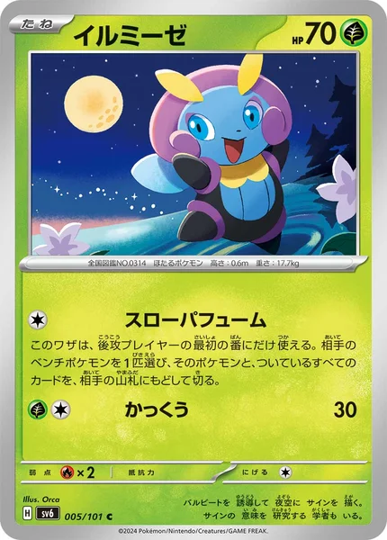 イルミーゼ C 005/101