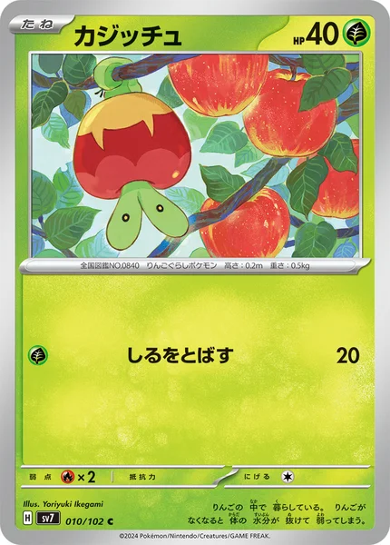 カジッチュ C 010/102