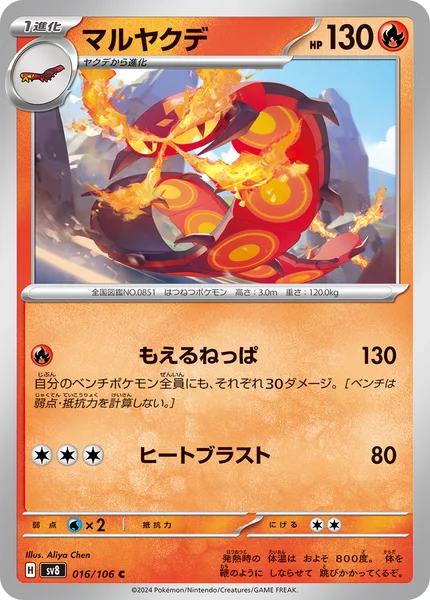 マルヤクデ C 016/106
