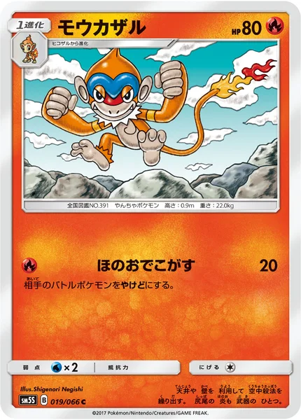 モウカザル C 019/066
