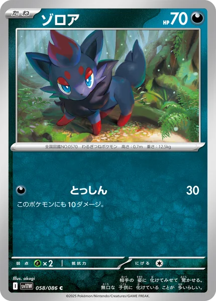 ゾロア C 058/086