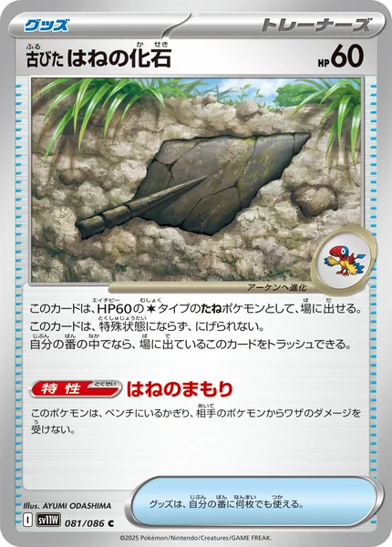 古びたはねの化石 C 081/086